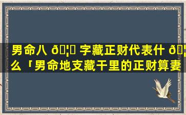 男命八 🦄 字藏正财代表什 🦉 么「男命地支藏干里的正财算妻子吗」